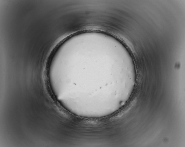 X0000102371125200808291242
