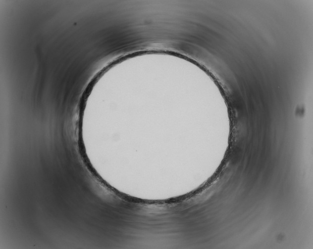X0000102371126200808291242