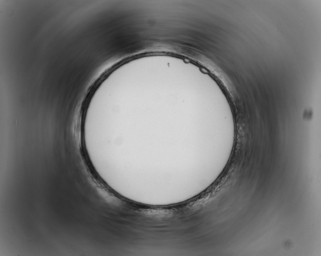 X0000102371127200808291242