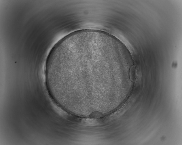 X0000102371128200808291242