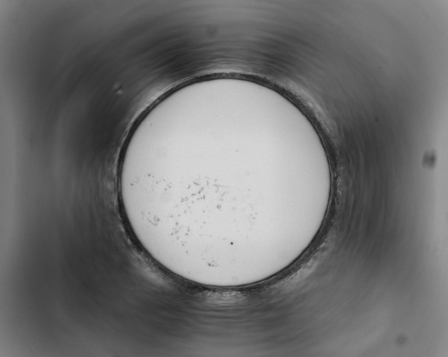 X0000102371129200808291242