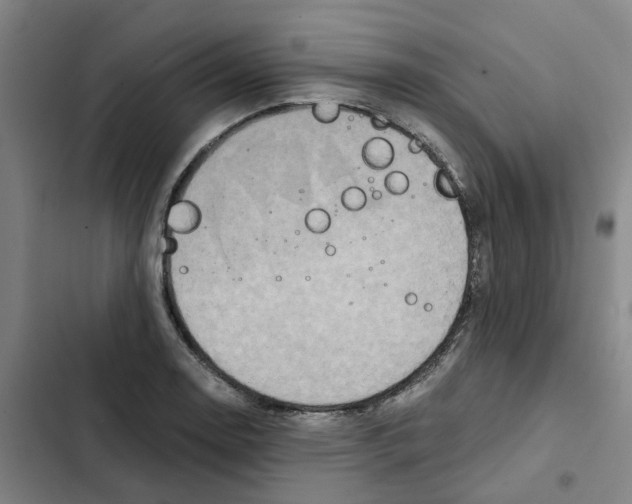 X0000102371130200808291243
