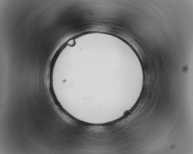 X0000102371131200808291243