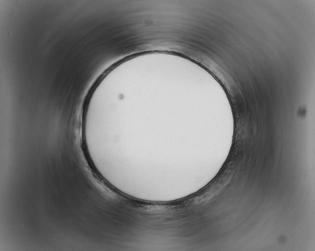 X0000102371132200808291243