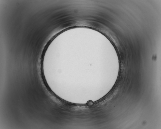 X0000102371133200808291243