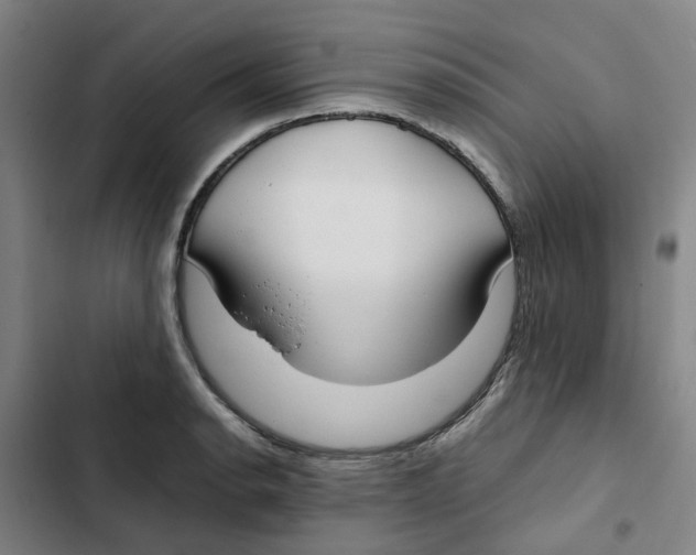 X0000102371134200808291243
