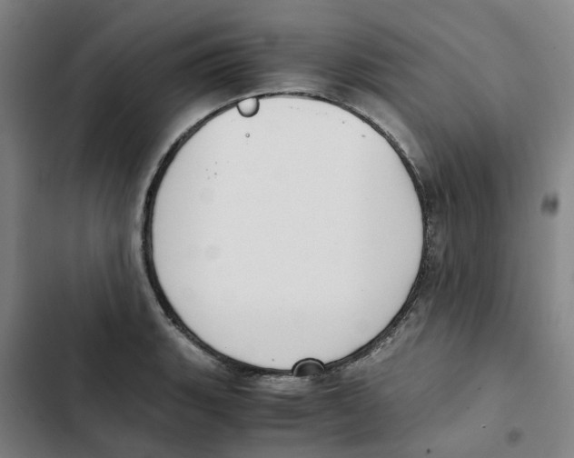 X0000102371135200808291243