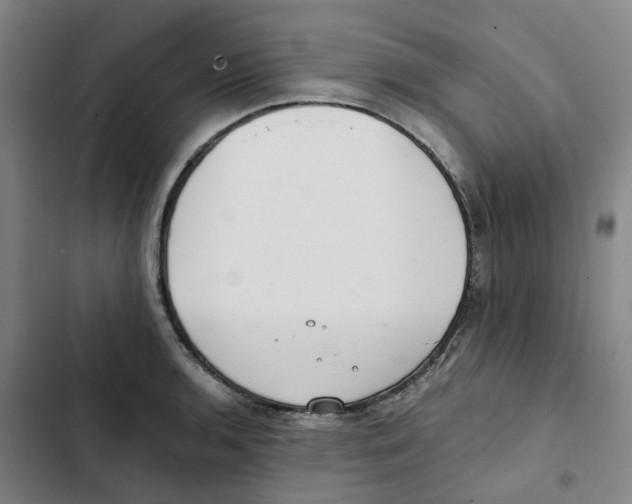 X0000102371136200808291243