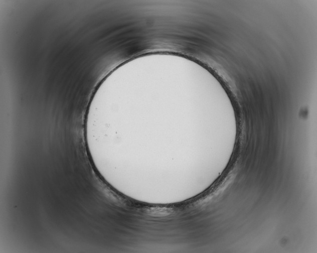 X0000102371137200808291243