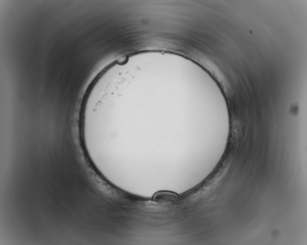 X0000102371138200808291243