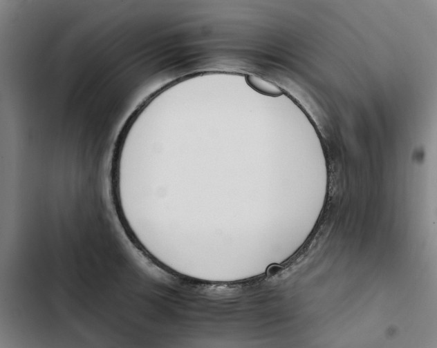 X0000102371139200808291243