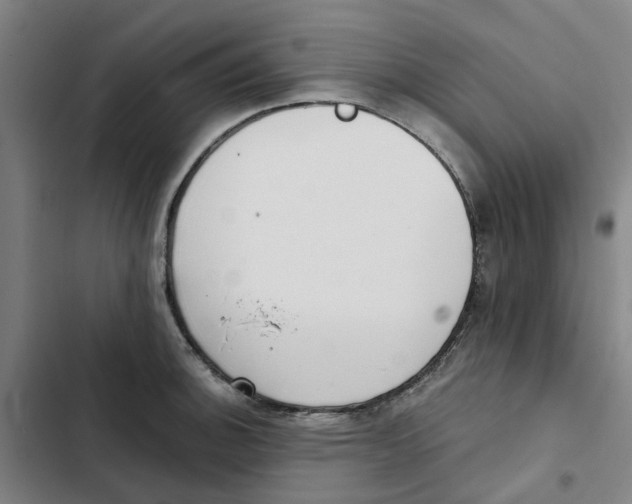 X0000102371140200808291243