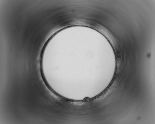 X0000102371141200808291243
