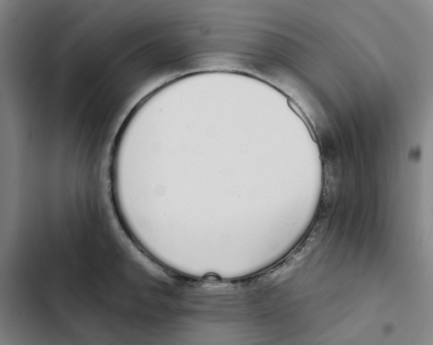 X0000102371142200808291243