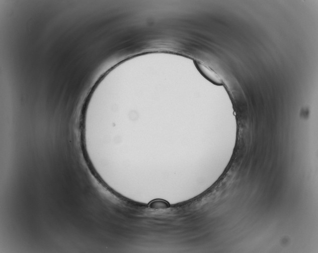 X0000102371143200808291243