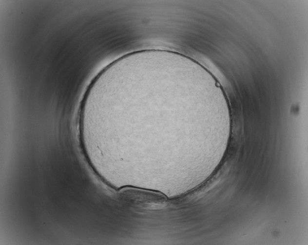 X0000102371144200808291243