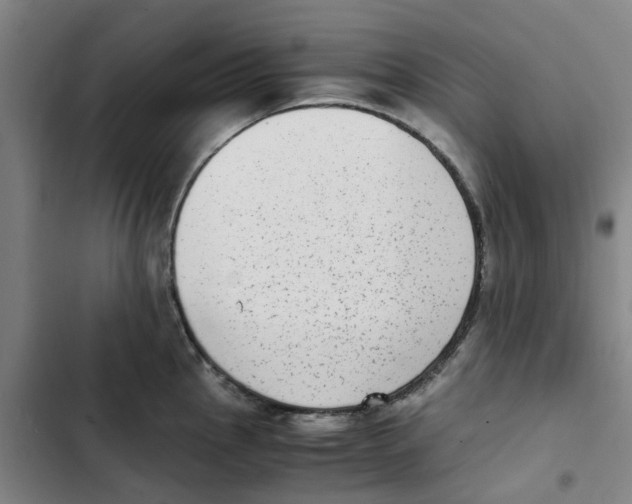 X0000102371145200808291243
