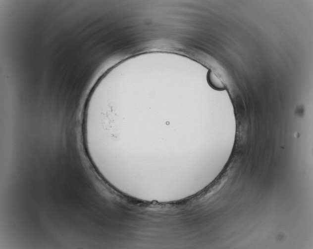 X0000102371146200808291243