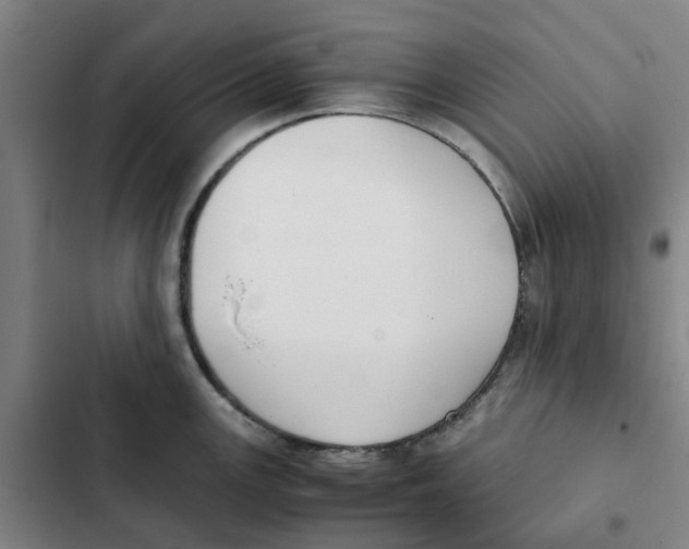 X0000102371147200808291243