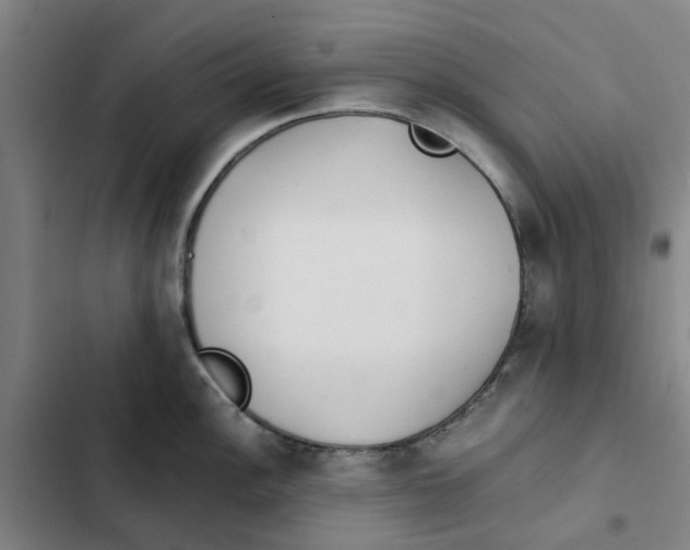 X0000102371148200808291243