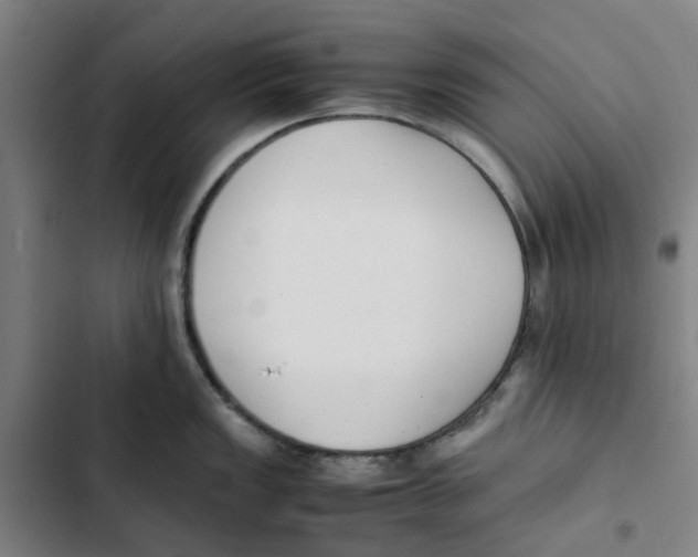 X0000102371149200808291243