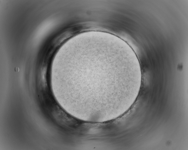 X0000102371150200808291243