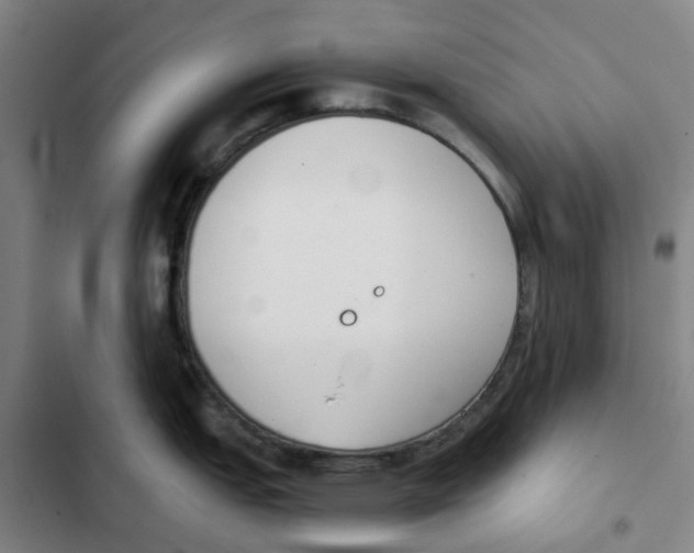 X0000102371151200808291243