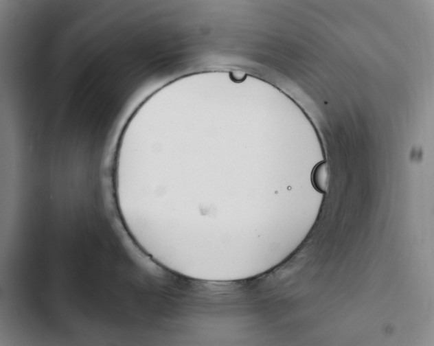 X0000102371152200808291243