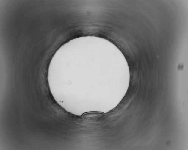 X0000102371153200808291242