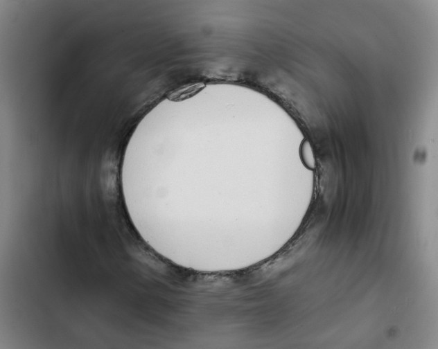 X0000102371154200808291242