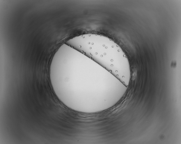 X0000102371156200808291242