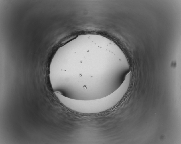 X0000102371157200808291242
