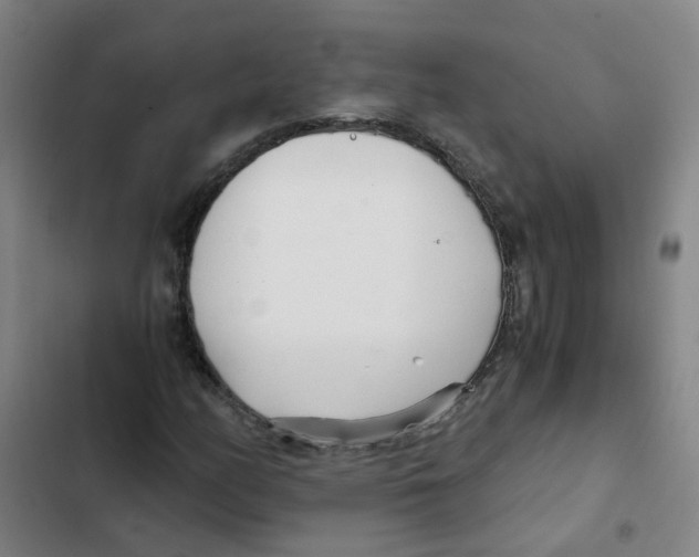 X0000102371158200808291242