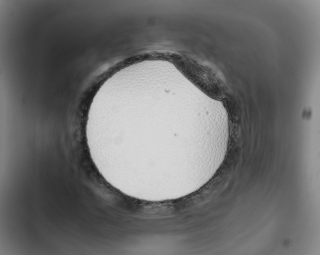 X0000102371159200808291242