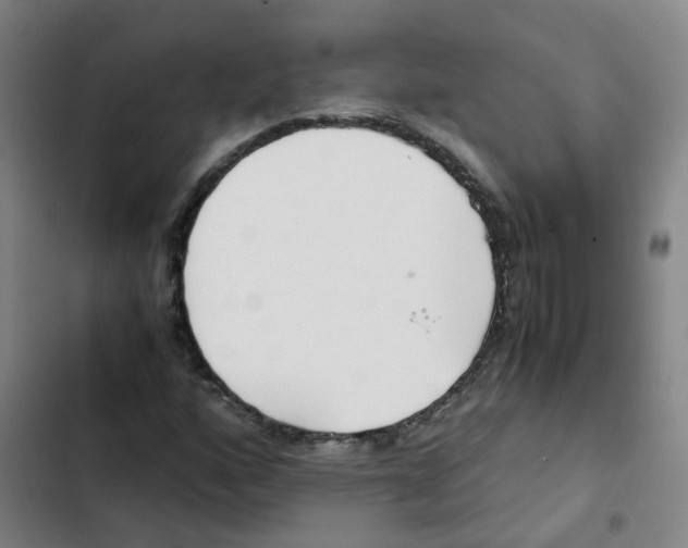 X0000102371160200808291242