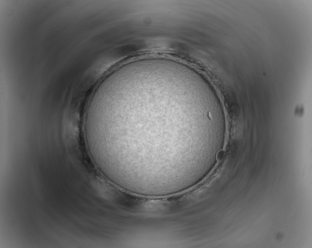 X0000102371161200808291242