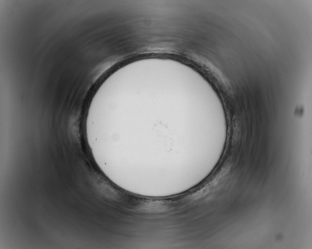 X0000102371162200808291242