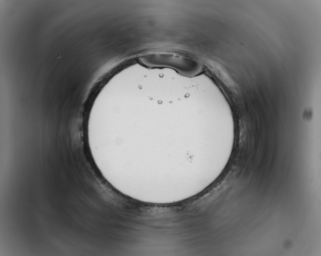 X0000102371164200808291242