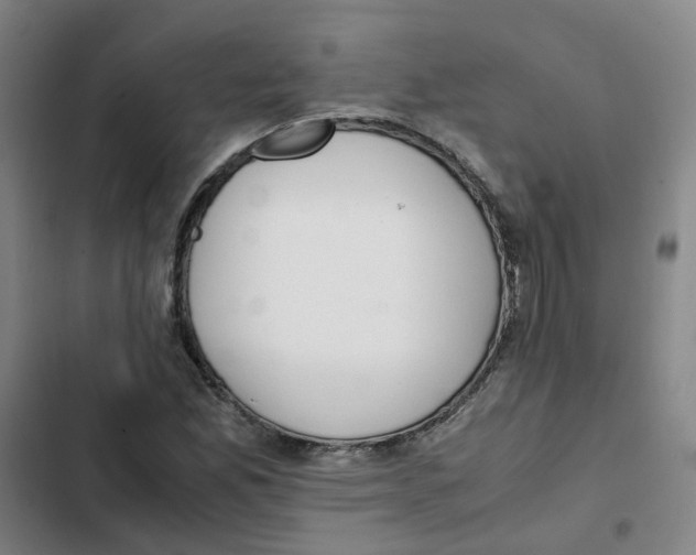 X0000102371165200808291242