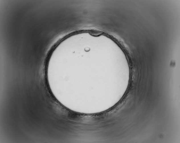 X0000102371167200808291242