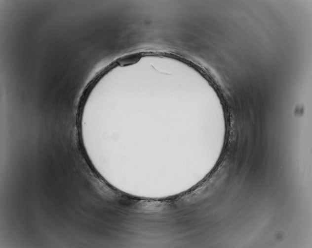 X0000102371168200808291242