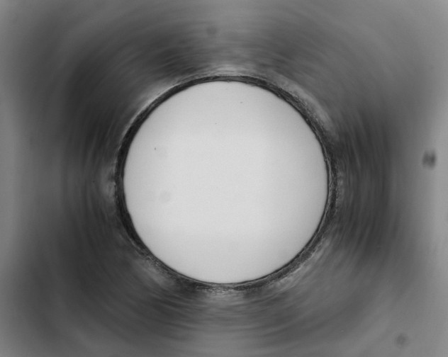 X0000102371170200808291242
