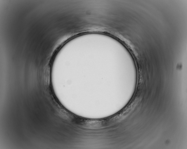 X0000102371171200808291242