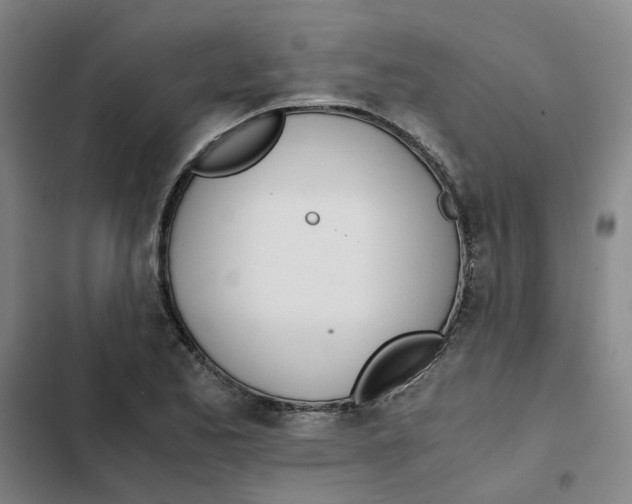 X0000102371173200808291242