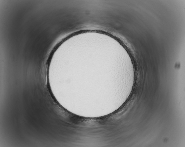 X0000102371175200808291242