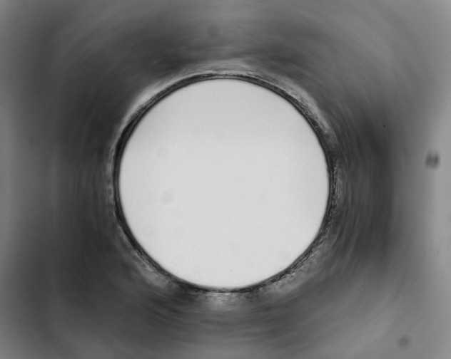 X0000102371176200808291242