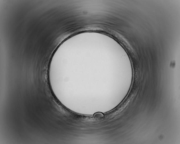 X0000102371177200808291242