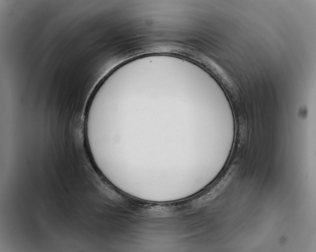 X0000102371178200808291242