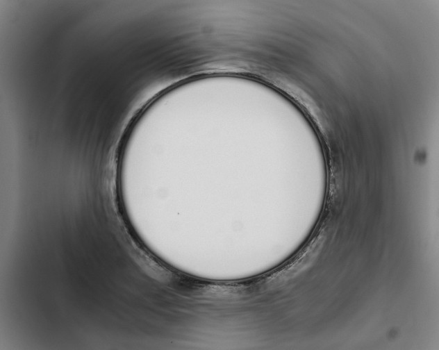 X0000102371179200808291242