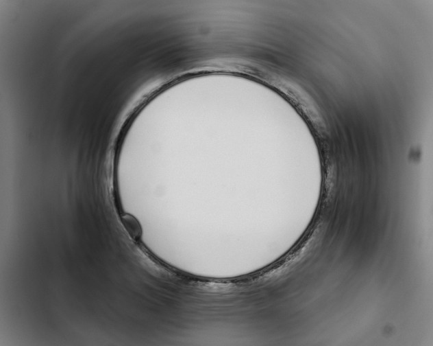 X0000102371180200808291242